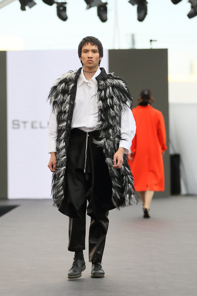STELMASHOV