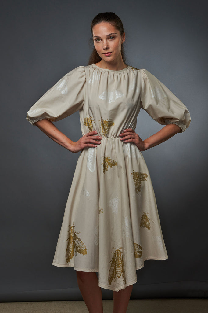 Beige Dress Moths