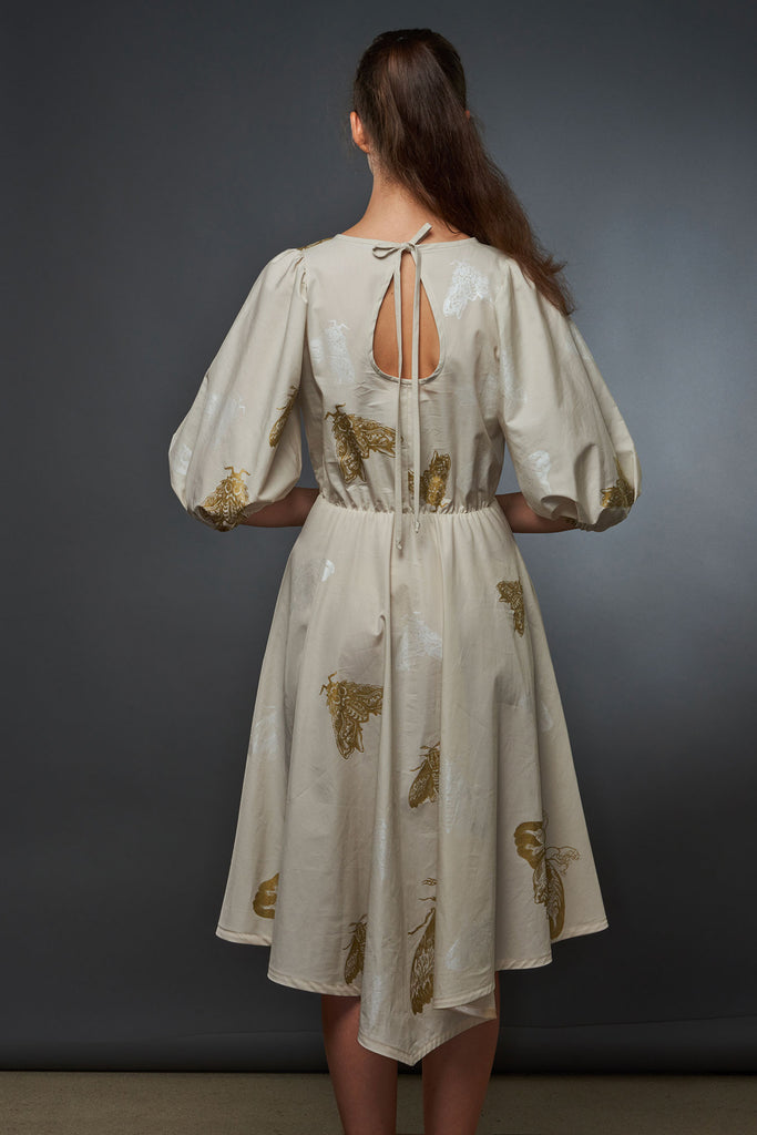 Beige Dress Moths