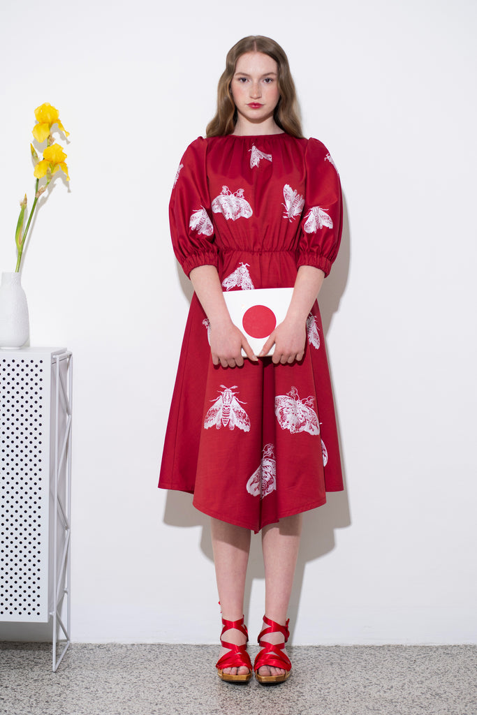 Red Dress Moths