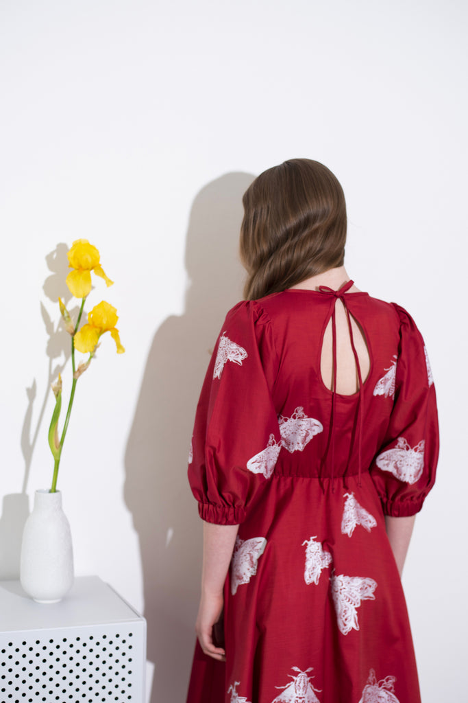 Red Dress Moths