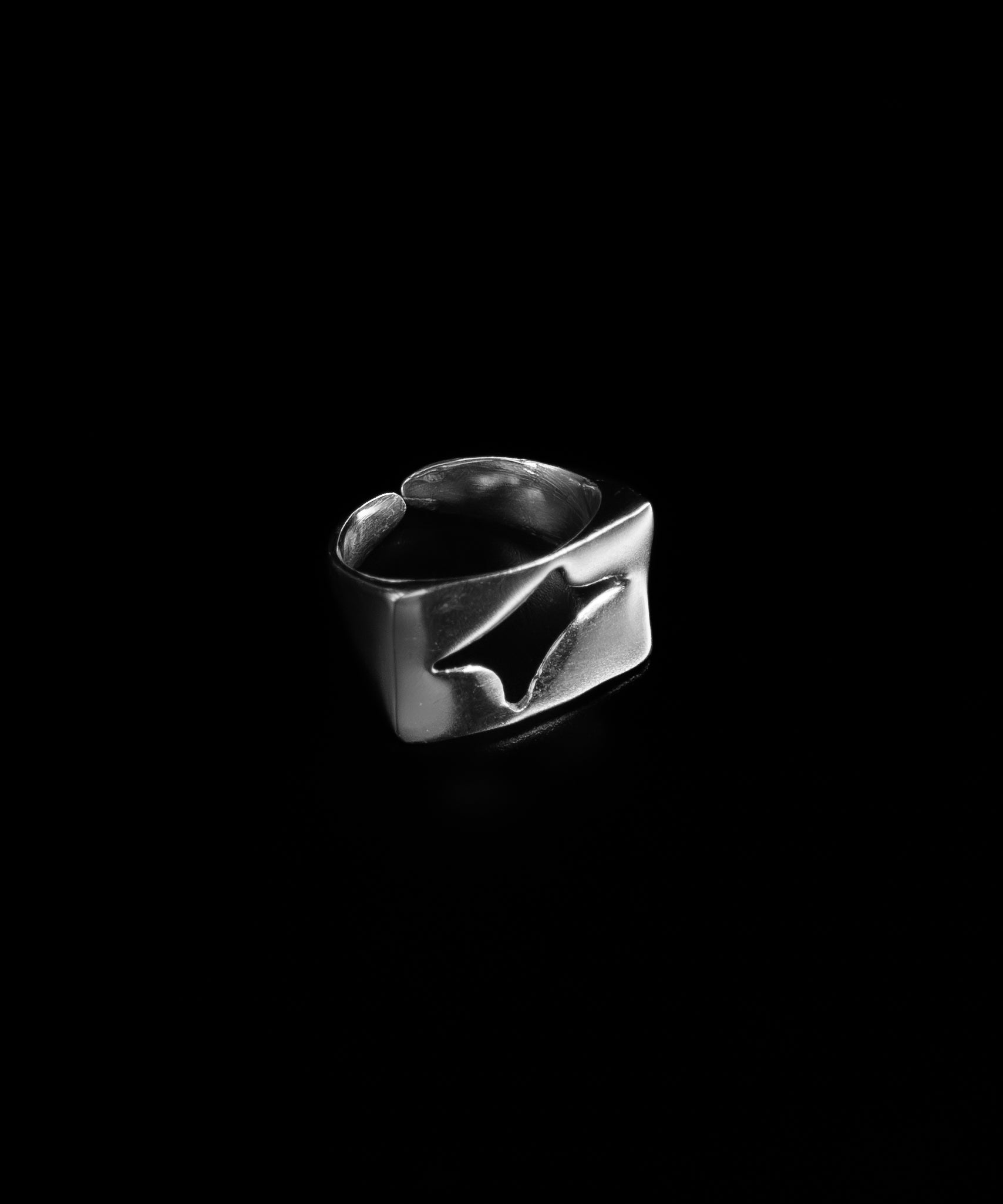 Cast_Ring - Studio183