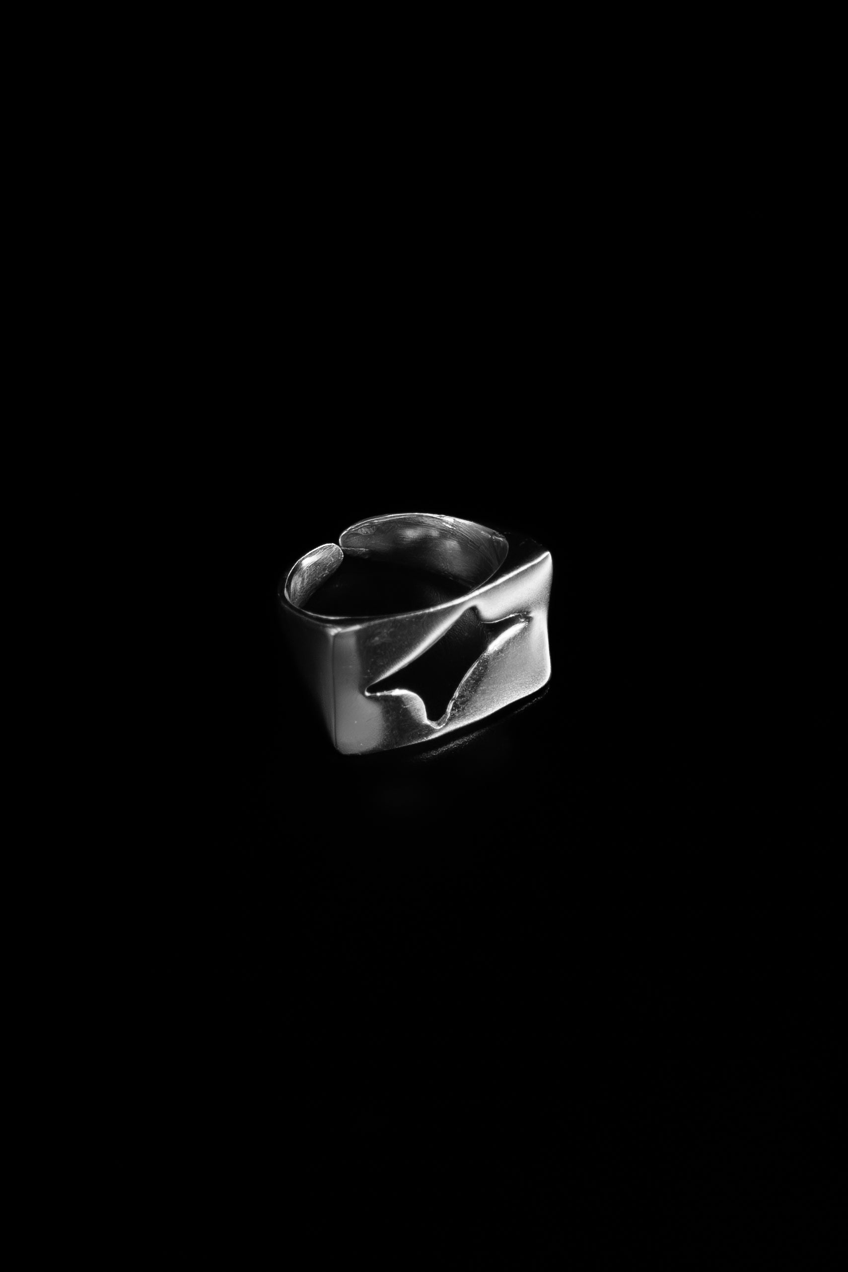 Cast_Ring - Studio183