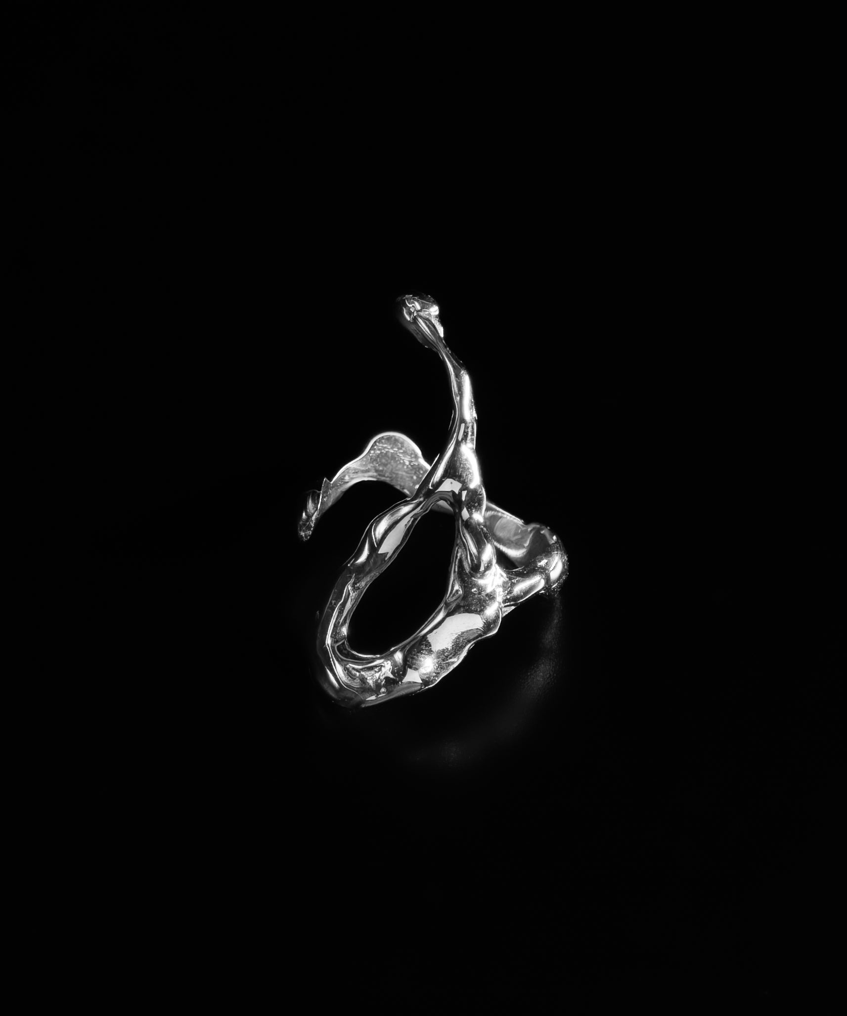 Bio_Ring - Studio183