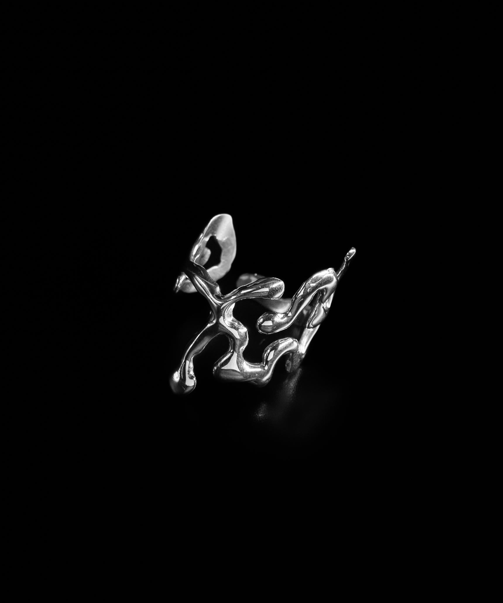 Flux_Ring - Studio183