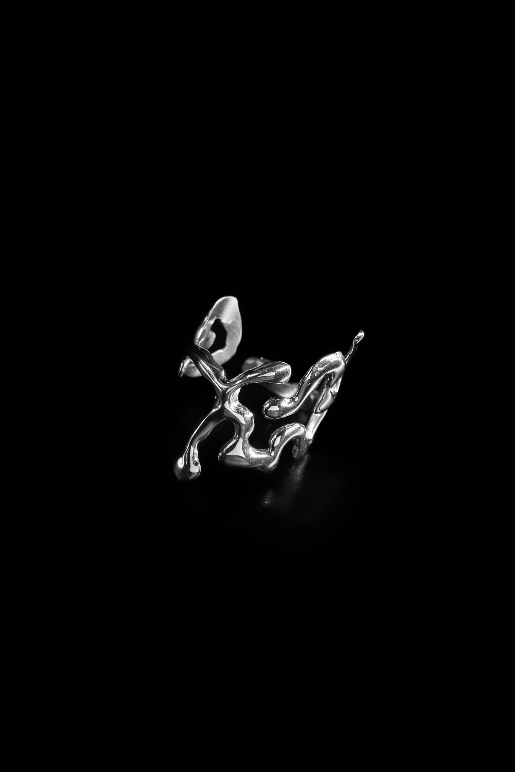 Flux_Ring - Studio183